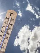 包含热传：贝林厄姆意甲20队主帅全的词条